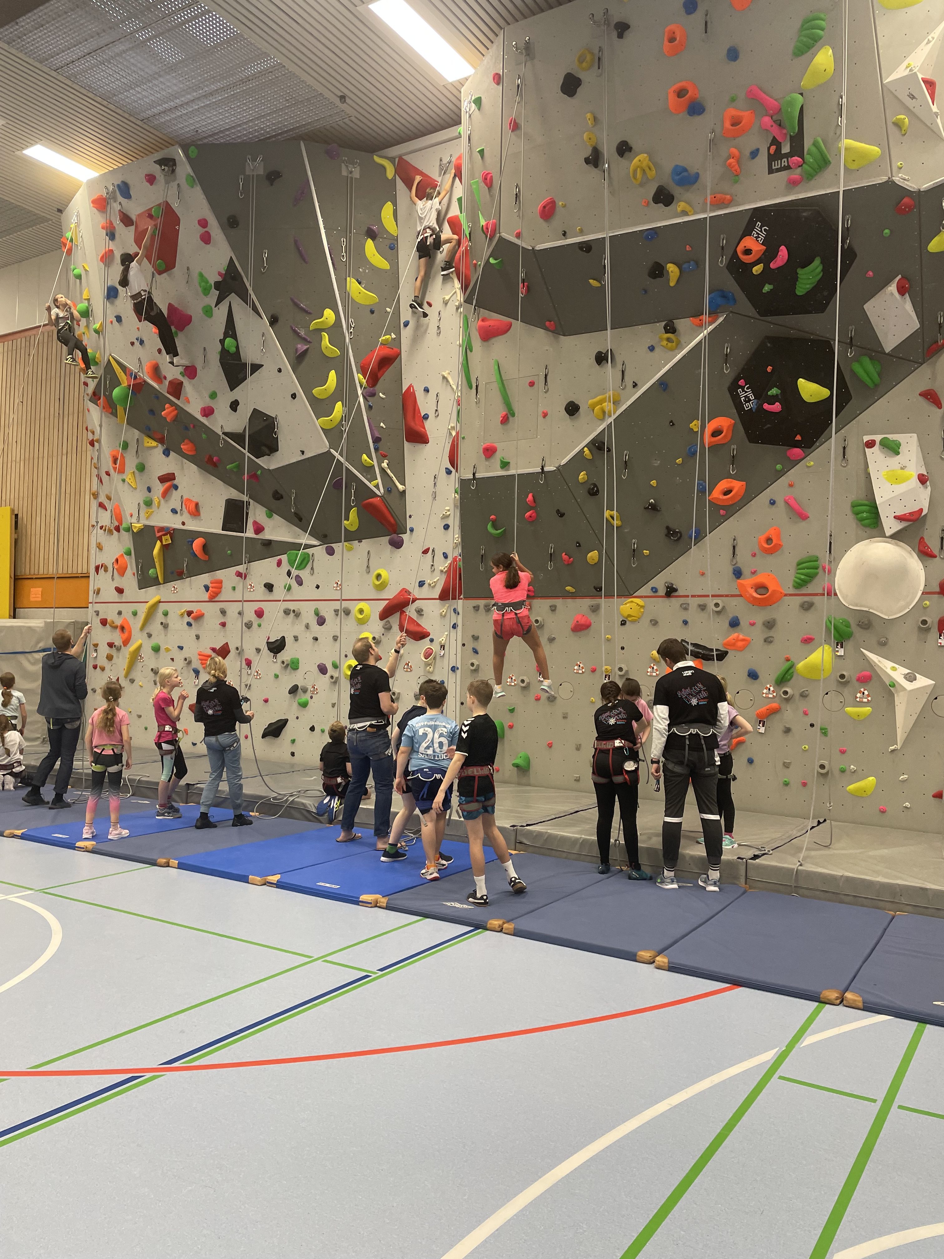 Die große Kletterwand wurde mit Unterstützung des Schulvereins installiert und erfreut sich großer Beliebtheit.